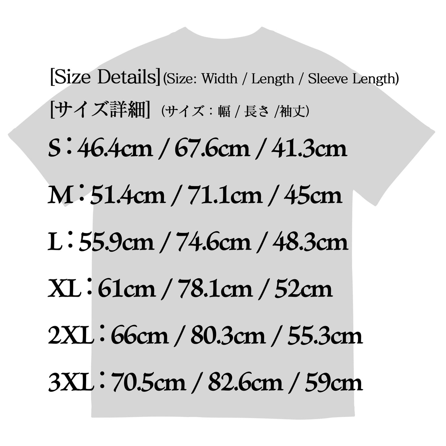 絢爛彩雅ヘビーウェイトTシャツのサイズ表。着丈や身幅などの詳細寸法と、ゆったりとしたシルエットの目安。